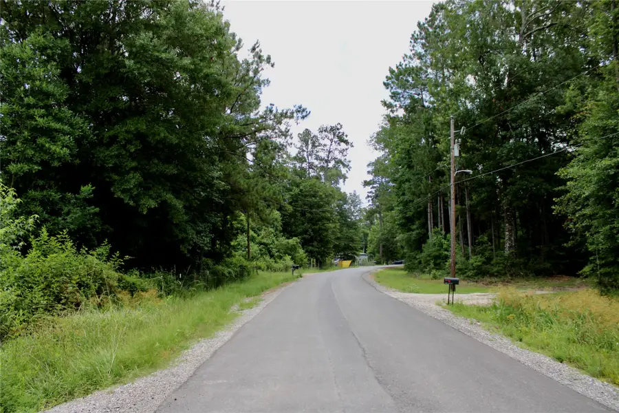 12425 Picos Road, Saratoga, TX 77585 - #2