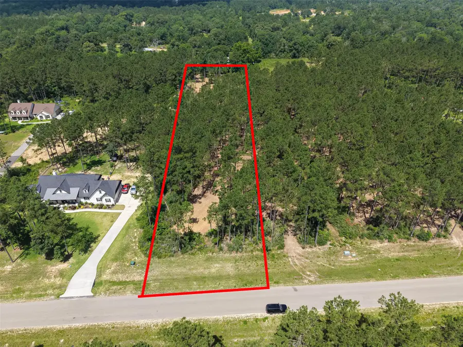 15625 Forest Grove Drive, Willis, TX 77378 - #2