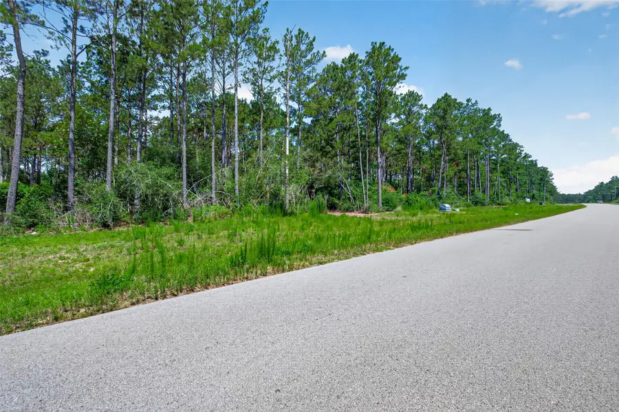 15625 Forest Grove Drive, Willis, TX 77378 - #3
