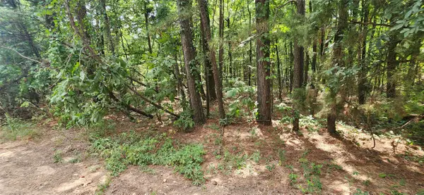 00 Tall Oak Road, Hooks, TX 75561