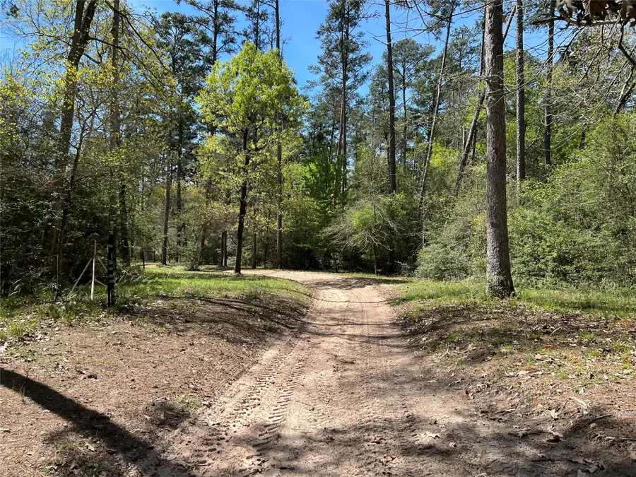 9296 County Road 302, Plantersville, TX 77363 - #2