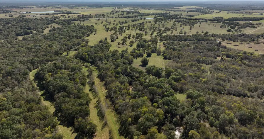 200 AC Fm 1428, Midway, TX 75852 - Image #3