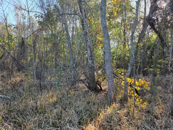 414 Highway 105 W, Liberty, TX 77575