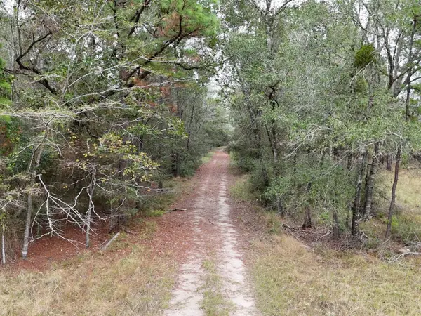 TBD Tract 1 Percy Howard Road, Huntsville, TX 77320