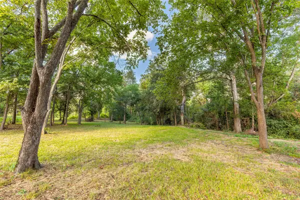 143 Wild Phlox Drive, Bellville, TX 77418