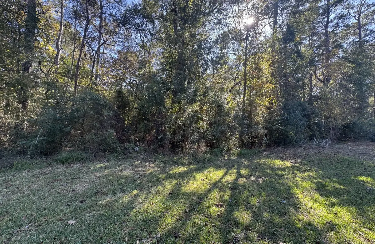 TBD Hunters Trail, New Caney, TX 77357 - Image #1