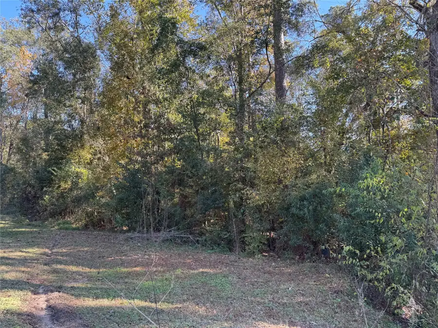 TBD Hunters Trail, New Caney, TX 77357 - Image #3