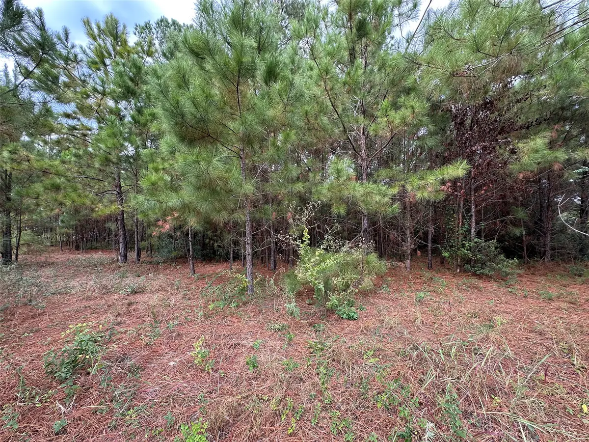 3116 County Road 3479b, Cleveland, TX 77327 - #1