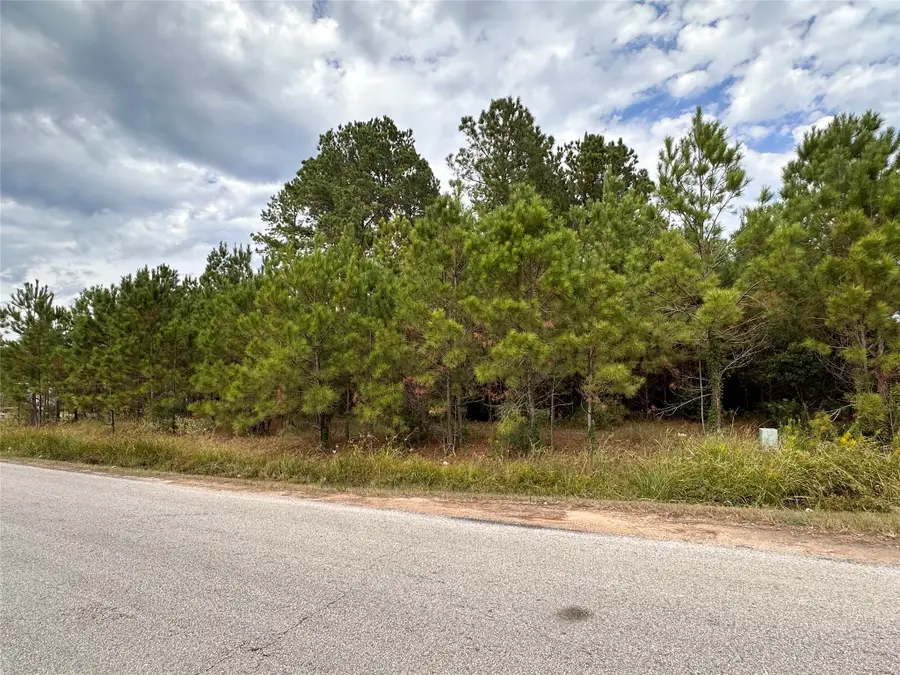3116 County Road 3479b, Cleveland, TX 77327 - #2