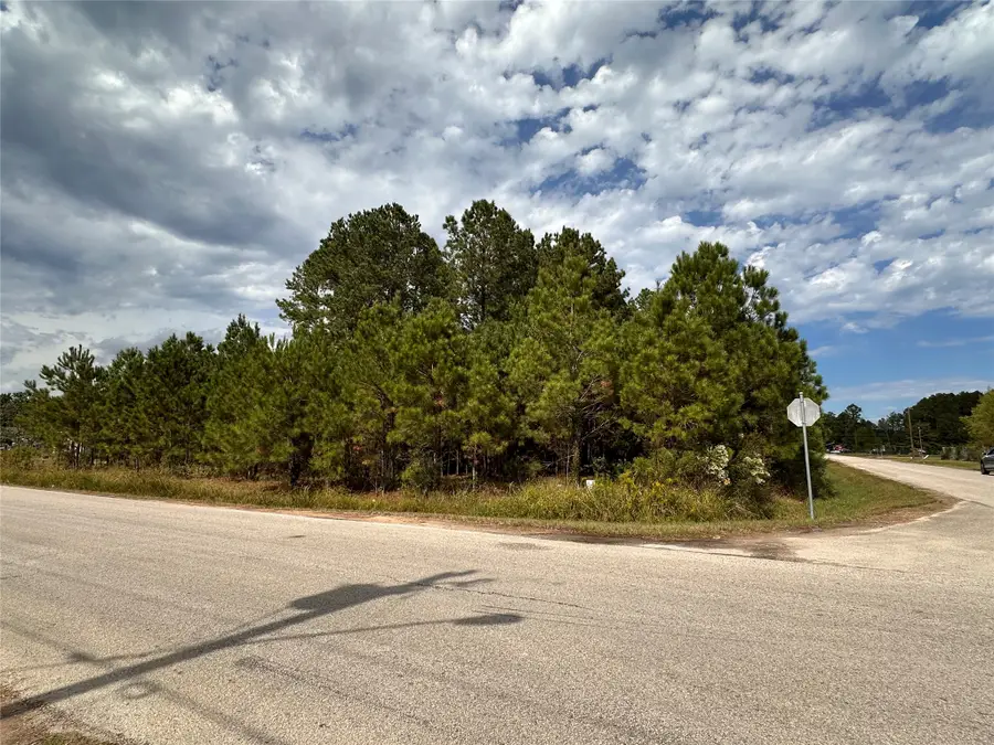 3116 County Road 3479b, Cleveland, TX 77327 - #3