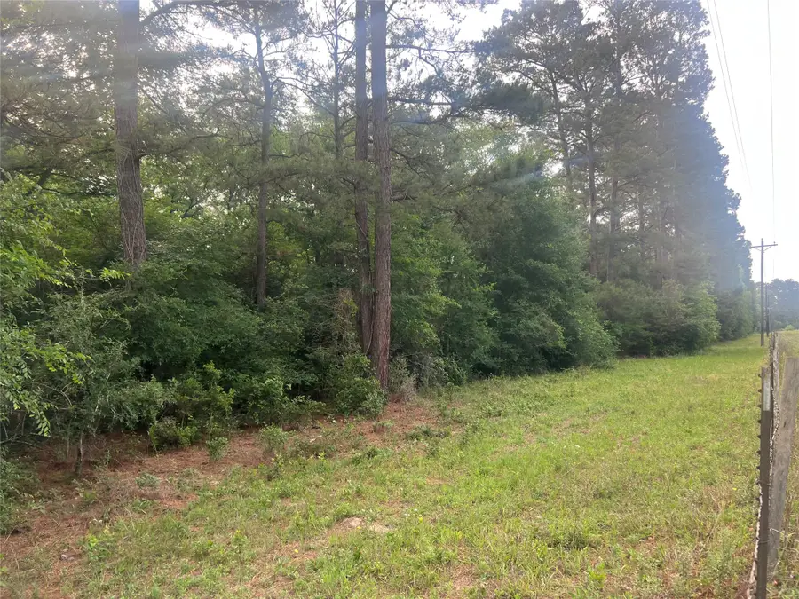 30970 Fm 362 N, Waller, TX 77484 - #3