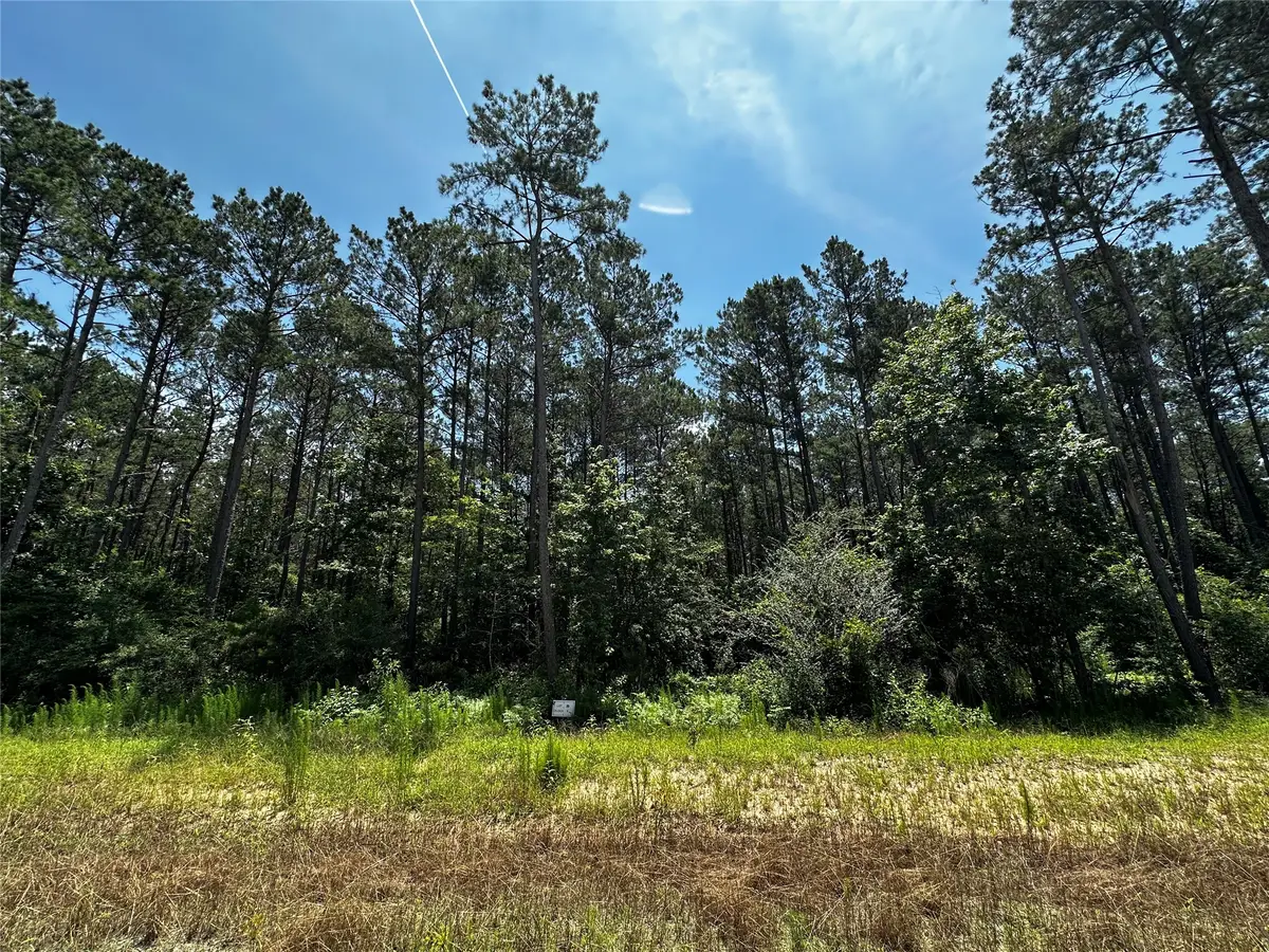 11885 Dawn Tree Lane, Willis, TX 77378 - #1