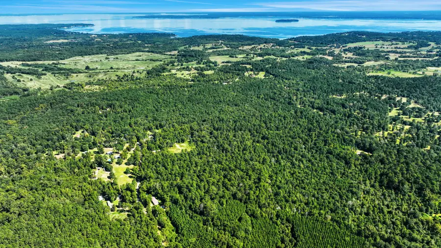 TBD Rose Hill Road, Coldspring, TX 77331 - Image #2