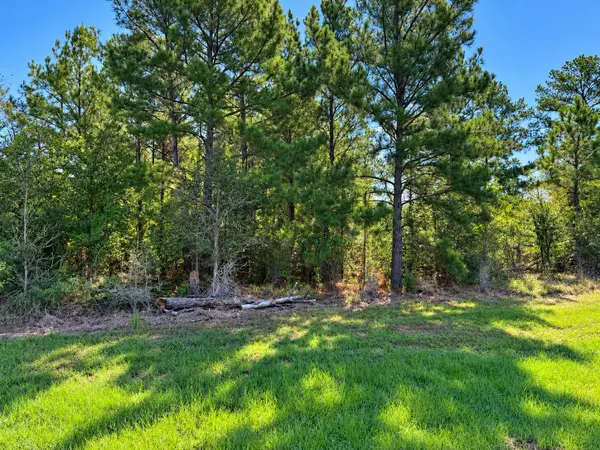 TBD Oakwood Drive, Huntsville, TX 77320
