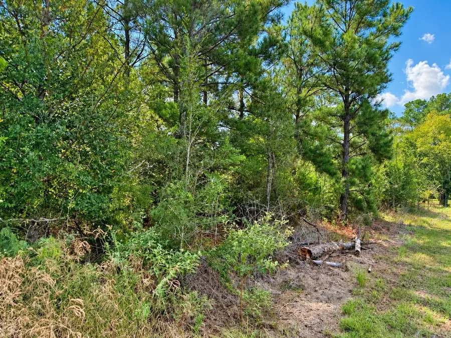 TBD Oakwood Drive, Huntsville, TX 77320 - #2