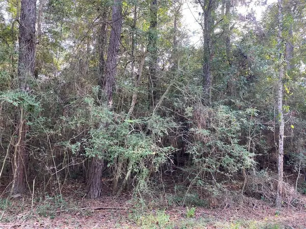 3 & 4 Live Oak Drive, Trinity, TX 75862