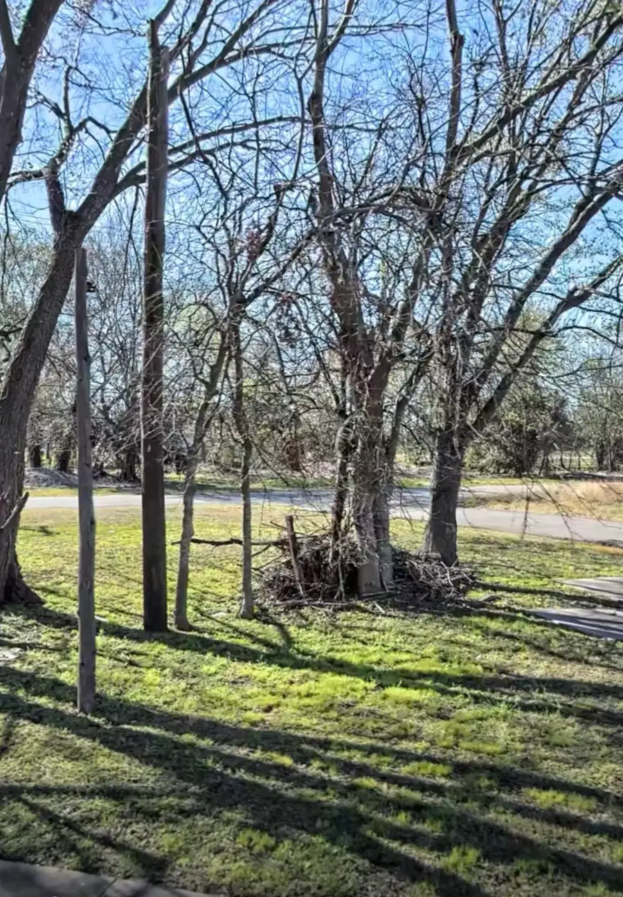 1215 Jensen Drive, Houston, TX 77020 - #3