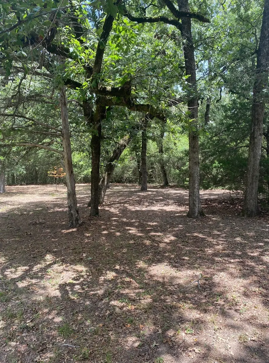 165 Navarro Drive, Hilltop Lakes, TX 77871 - #2