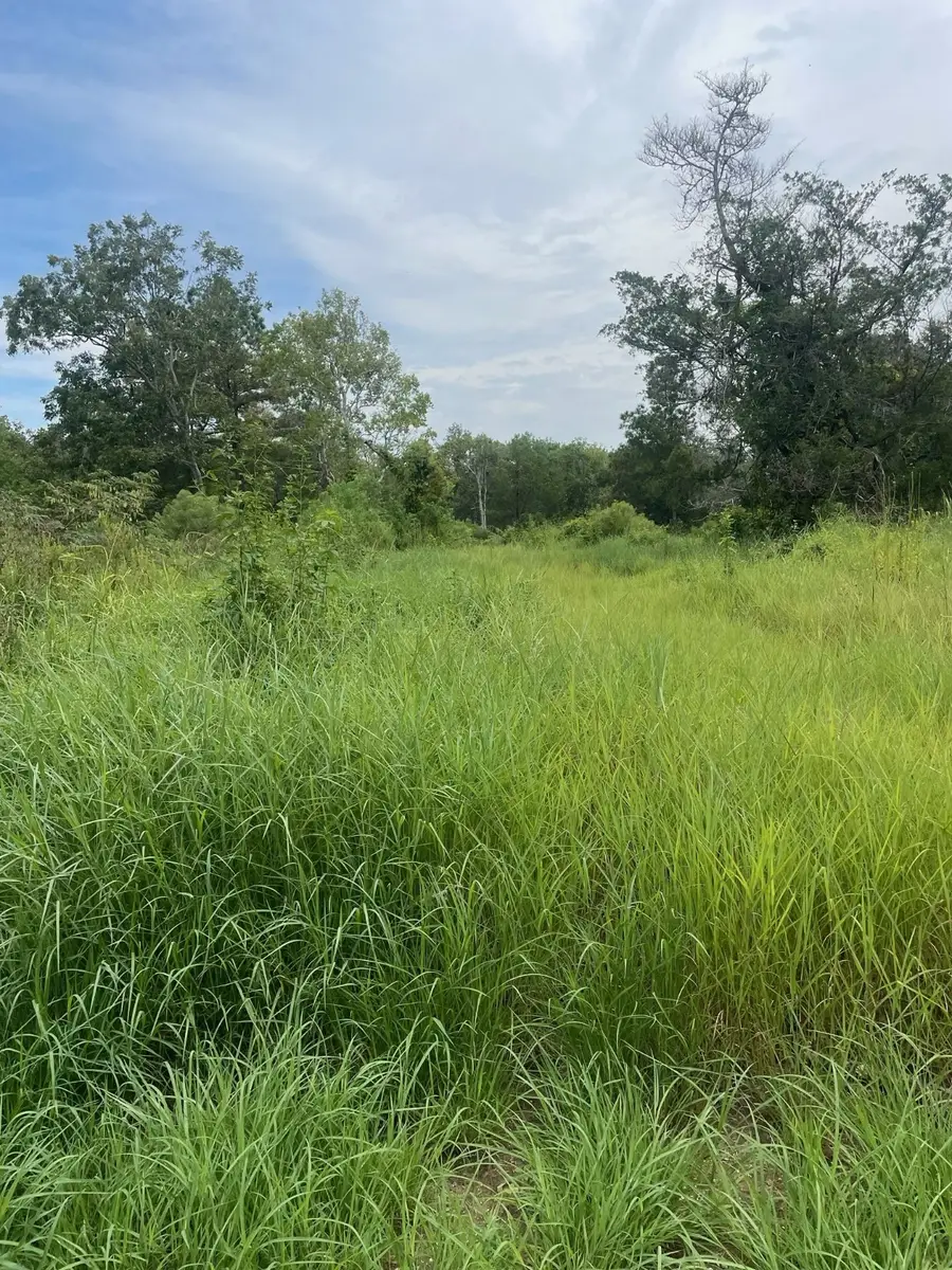 5232 Cotton Lake Road, Cove, TX 77523 - Image #3