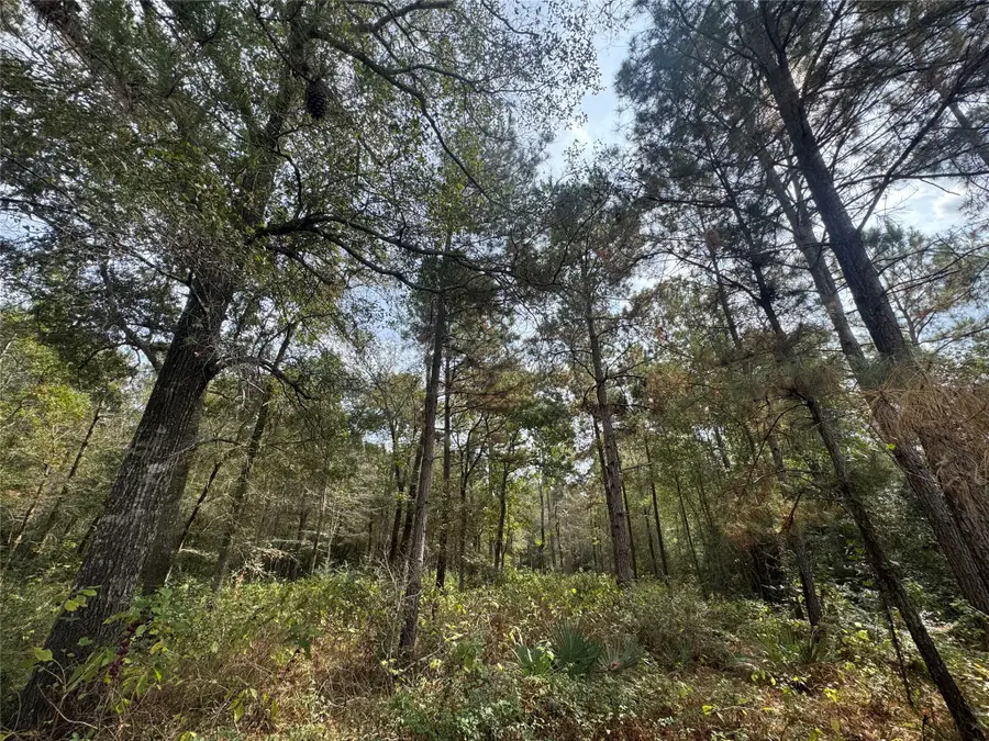 9-17-3B Winchester Road, Huntsville, TX 77340 - Image #3