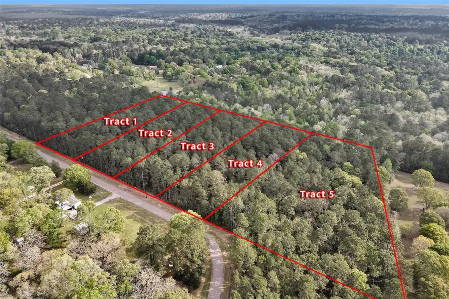 TBD TR5 Cedar Lane Loop, Willis, TX 77378 - #2