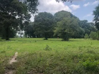 000 Counts Road, Point Blank, TX 77364 - Image #2