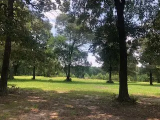 000 Counts Road, Point Blank, TX 77364 - Image #3