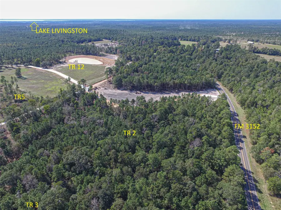 006 Nelson Dr, Livingston, TX 77351 - #3