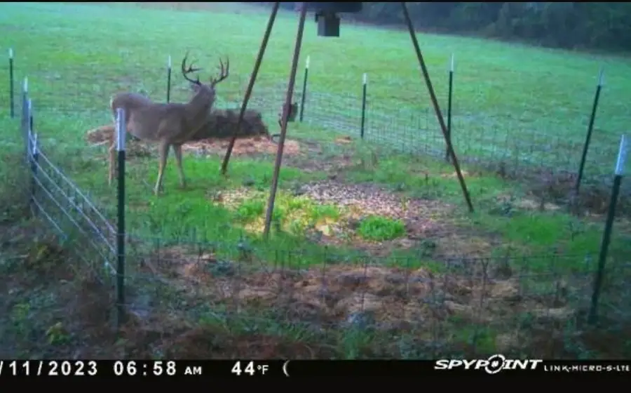 0000 North Mcgee Bend Loop, Groveton, TX 75845 - Image #2