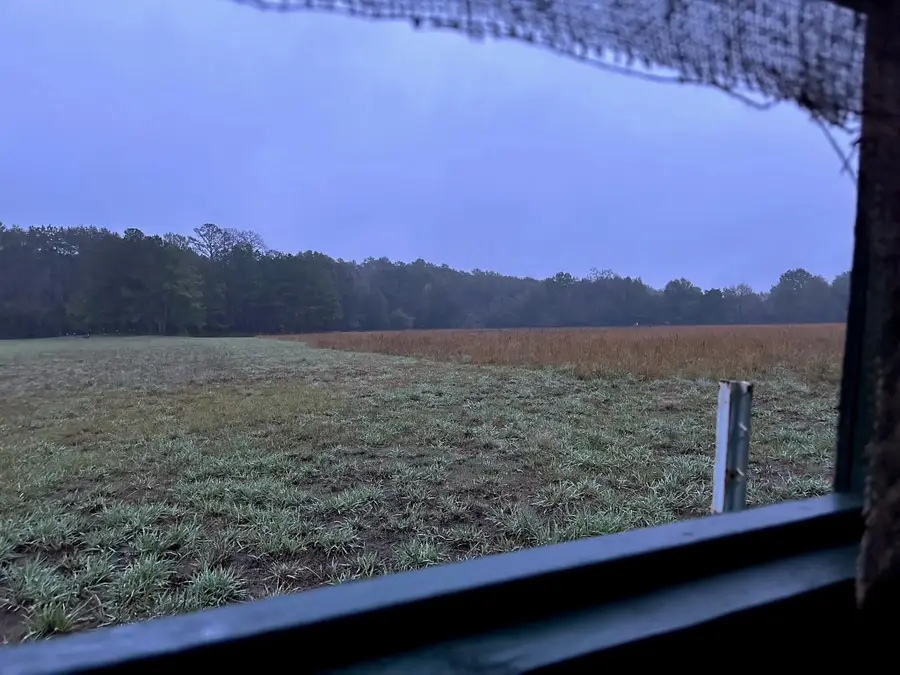 0000 North Mcgee Bend Loop, Groveton, TX 75845 - Image #3