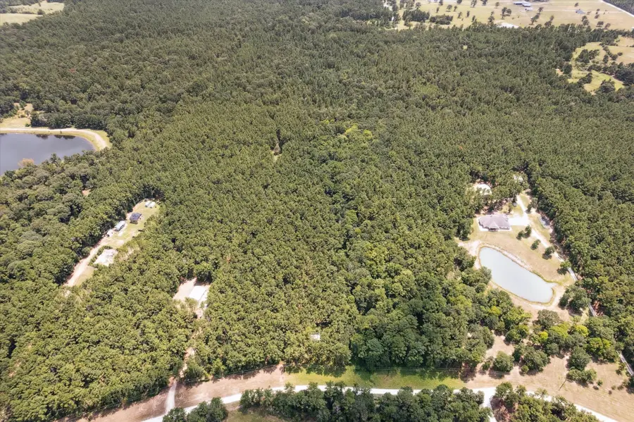 4970 Deep Forest Trail, Navasota, TX 77868 - #2