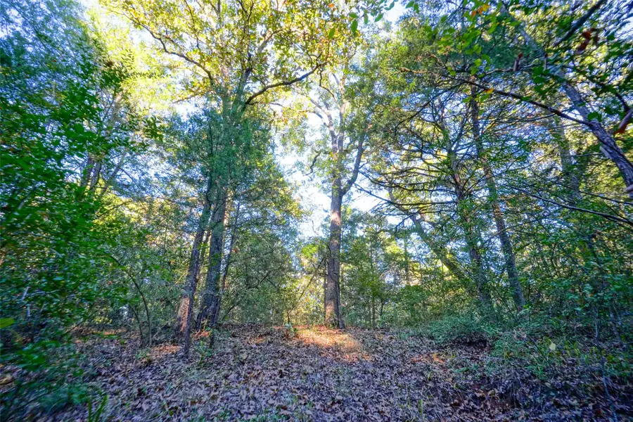 40 Acres Fcr 930, Teague, TX 75860 - #3