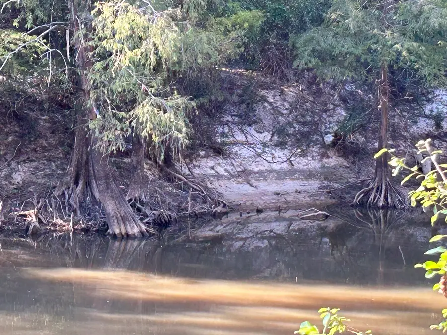 TBD Lindsey Road, Silsbee, TX 77656 - Image #2