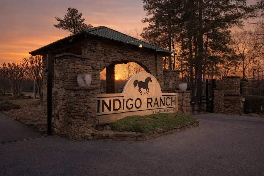 17819 Indigo Hills Drive, Magnolia, TX 77355 - #3