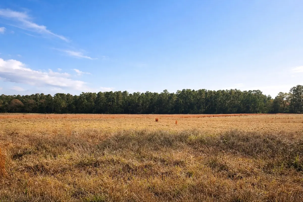 TBD Clearlake Lane, Crockett, TX 75835 - #1