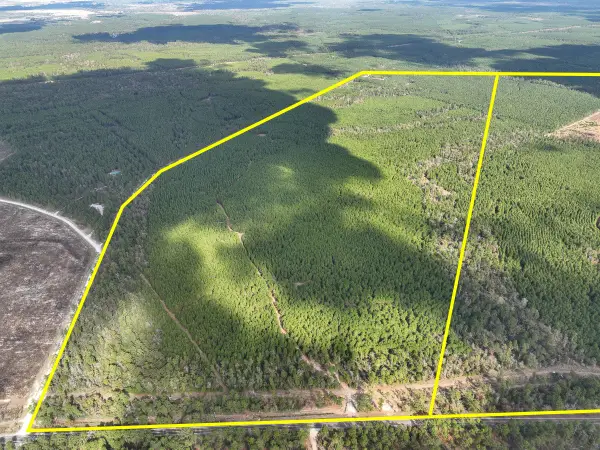 T-2 Fm 247, Huntsville, TX 77340