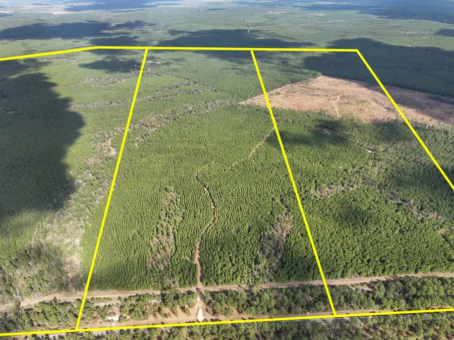 T-2 Fm 247, Huntsville, TX 77340 - Image #2