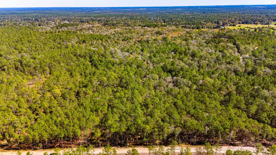 032 King Ranch Road S, Onalaska, TX 77360 - Image #2
