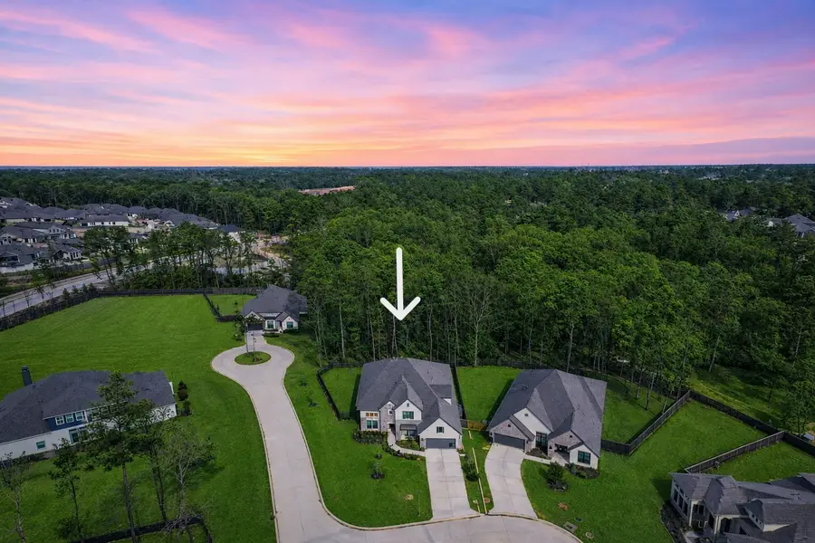 208 Twinflower Trail Court, Willis, TX 77318 - #3