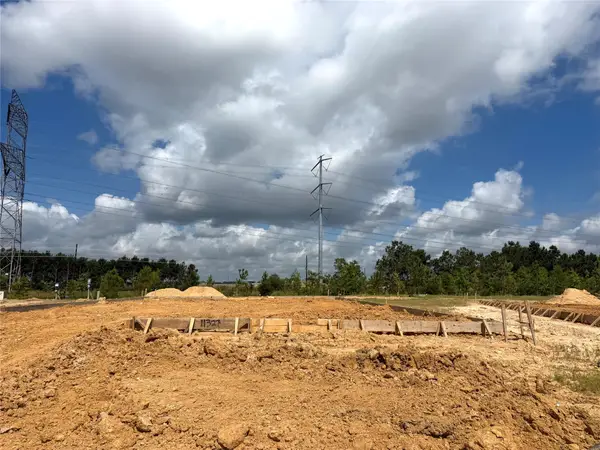 2177 Sunflower View Street, Brookshire, TX 77423
