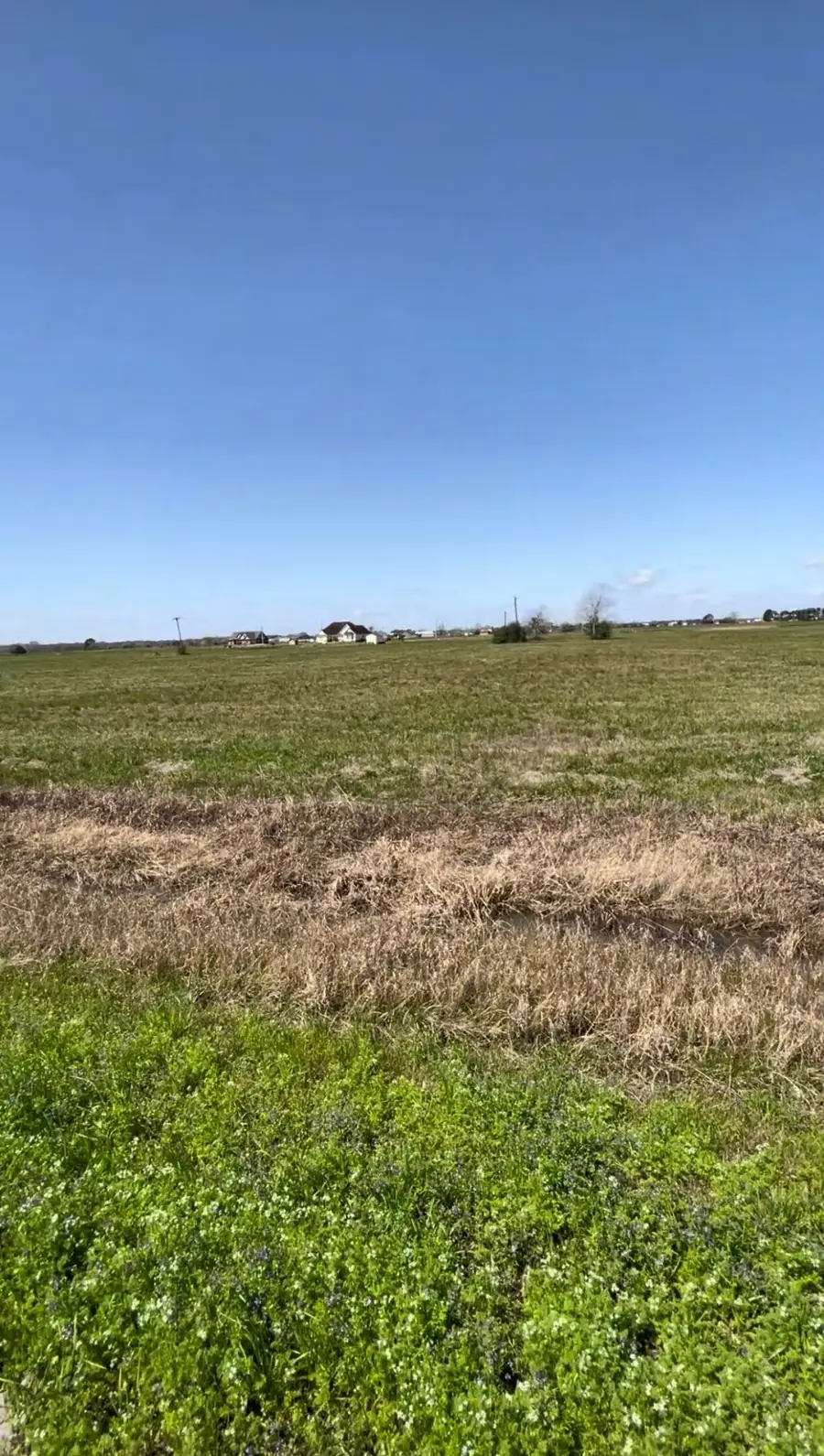 0 Fm 521 Road, Angleton, TX 77515 - #3