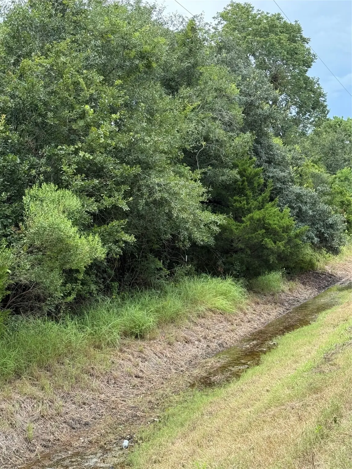 000 County Road 289, Sweeny, TX 77480 - Image #1