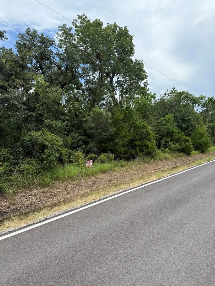 000 County Road 289, Sweeny, TX 77480 - Image #2