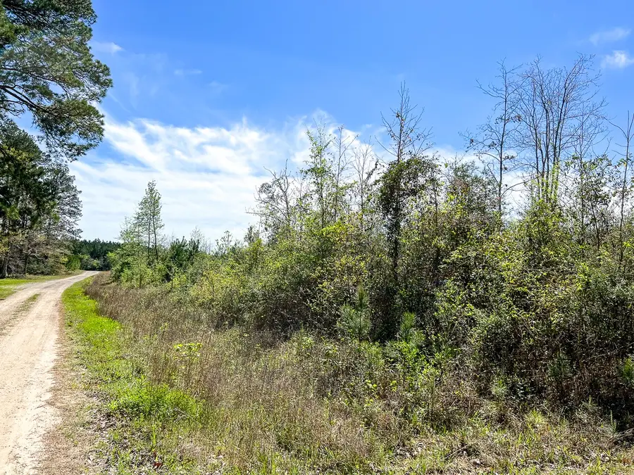 2 Rice Road East, Camden, TX 75934 - Image #3