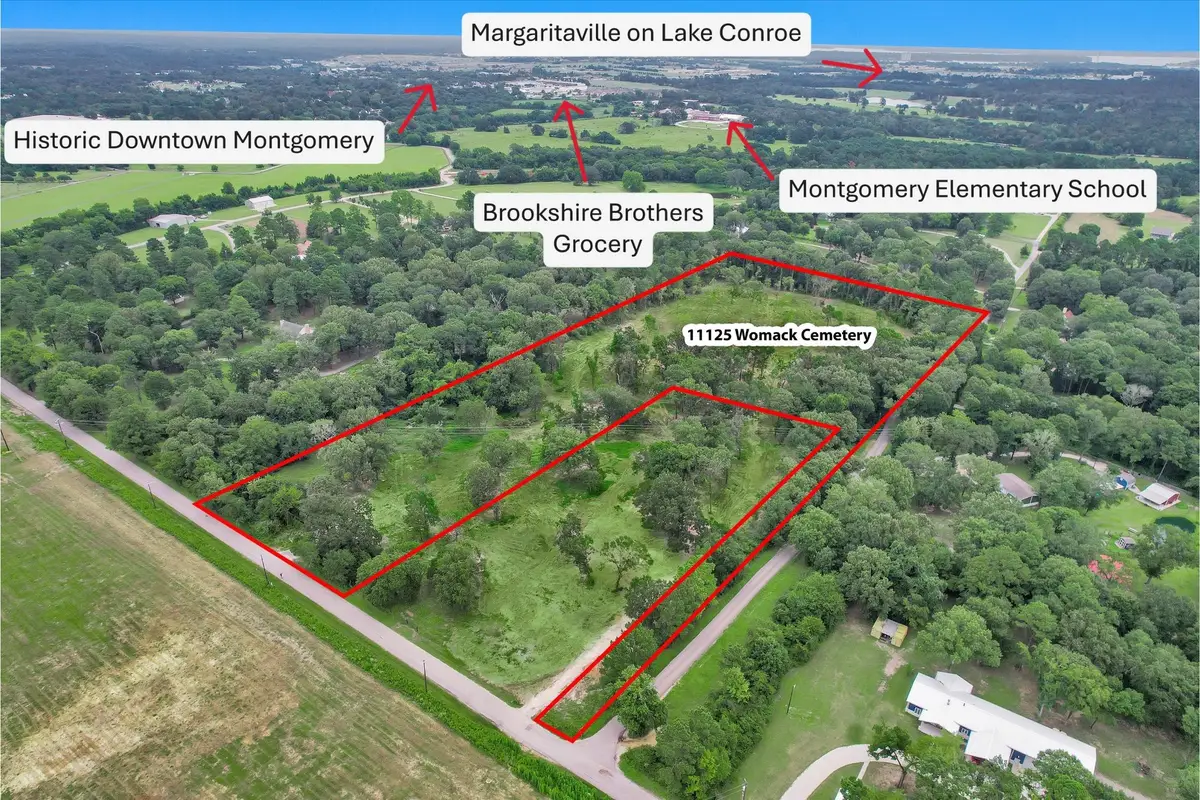 10.548 Acres Womack Cemetery Road, Montgomery, TX 77316 - #1