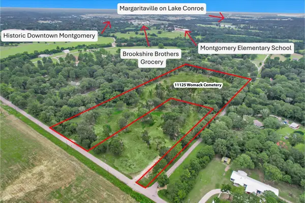 10.548 Acres Womack Cemetery Road, Montgomery, TX 77316