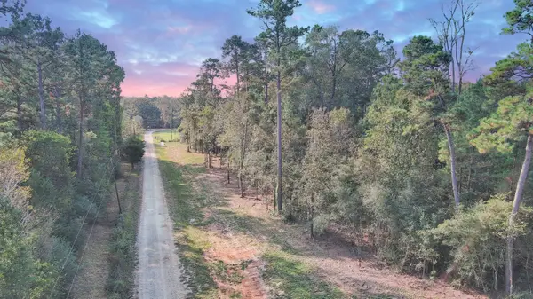 Lot 10 Gregory Lane, New Waverly, TX 77358