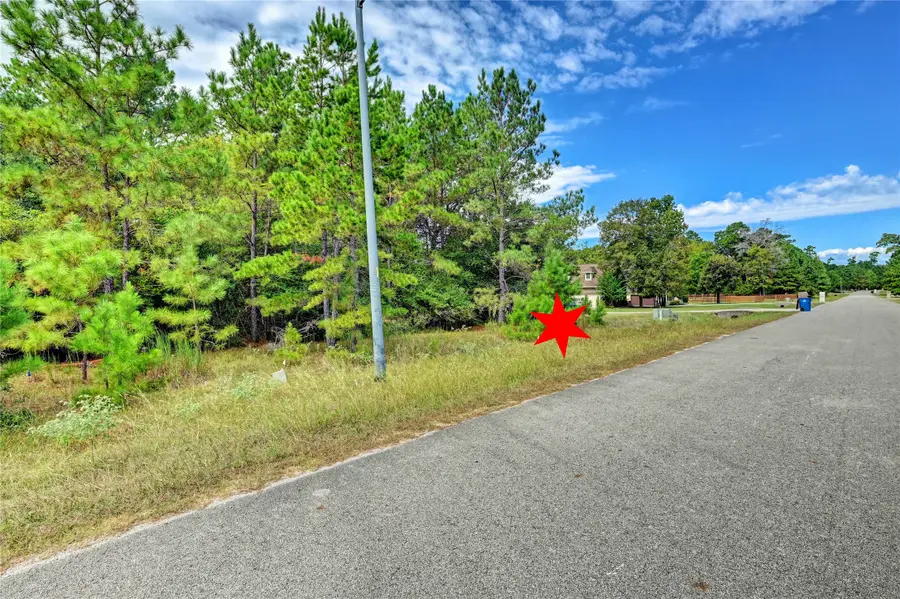 148 Port Au Prince Court, Montgomery, TX 77316 - Image #2