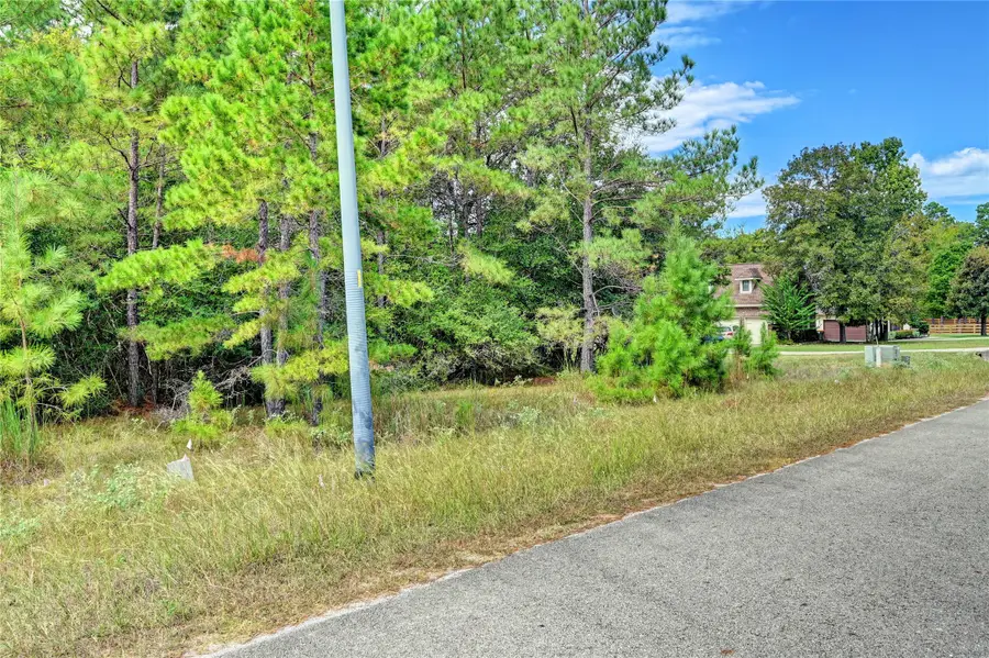 148 Port Au Prince Court, Montgomery, TX 77316 - Image #3