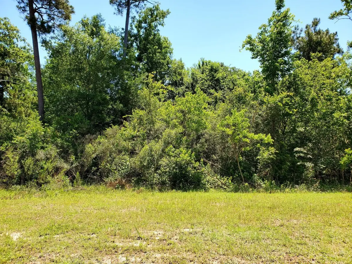 141 Kings Lake Estates Boulevard, Humble, TX 77346 - Image #1